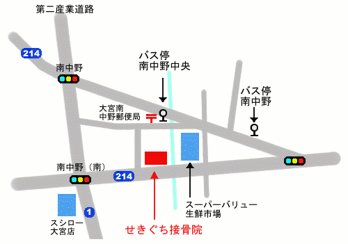 埼玉県さいたま市見沼区南中野の関口接骨院の拡大地図