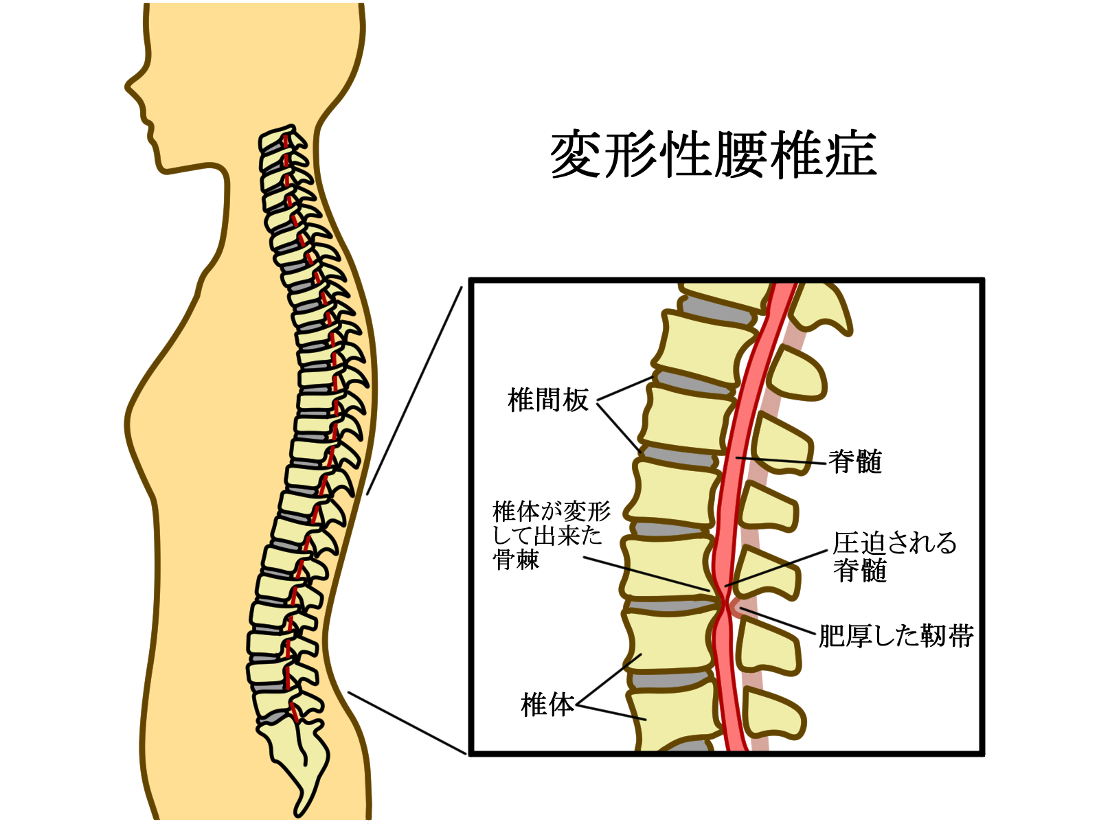 せきぐち接骨院