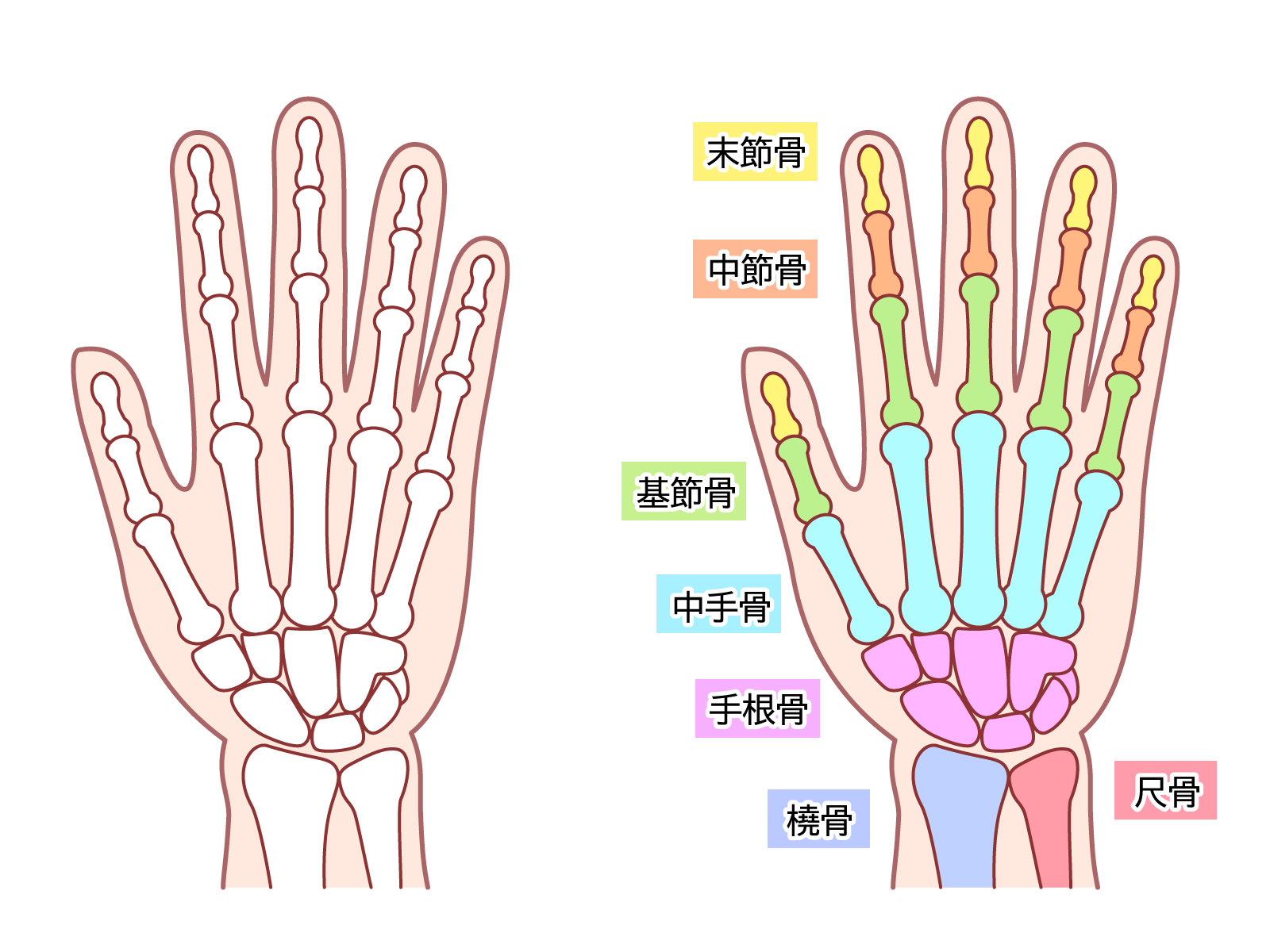 せきぐち接骨院